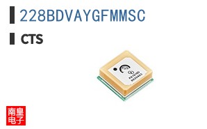 228BDVAYGFMMSC