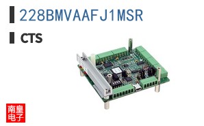 228BMVAAFJ1MSR