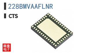 228BMVAAFLNR