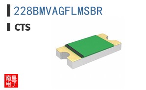 228BMVAGFLMSBR