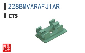 228BMVARAFJ1AR