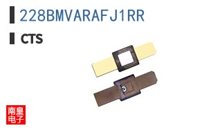 228BMVARAFJ1RR
