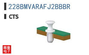 228BMVARAFJ2BBBR