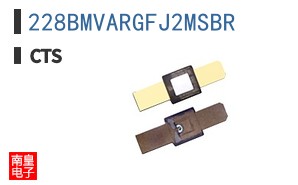 228BMVARGFJ2MSBR