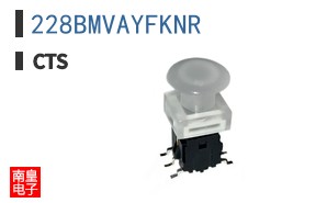 228BMVAYFKNR