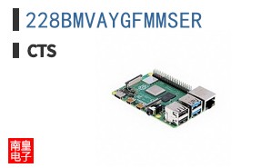 228BMVAYGFMMSER