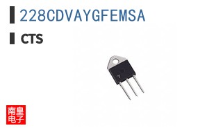 228CDVAYGFEMSA