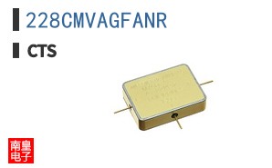 228CMVAGFANR