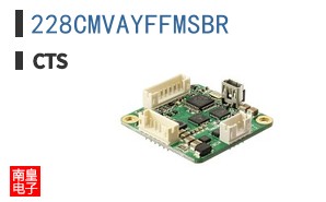 228CMVAYFFMSBR