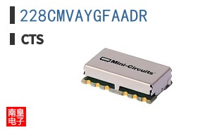 228CMVAYGFAADR