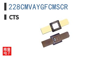 228CMVAYGFCMSCR