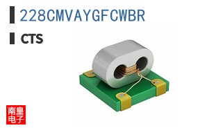 228CMVAYGFCWBR