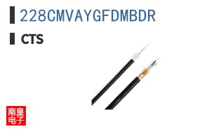 228CMVAYGFDMBDR