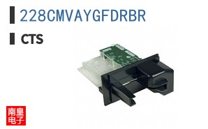 228CMVAYGFDRBR