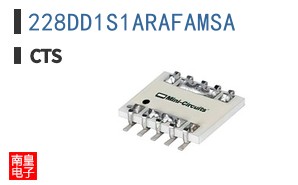 228DD1S1ARAFAMSA