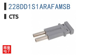 228DD1S1ARAFAMSB