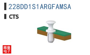 228DD1S1ARGFAMSA