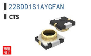 228DD1S1AYGFAN