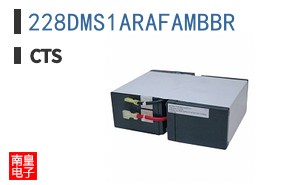 228DMS1ARAFAMBBR