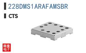 228DMS1ARAFAMSBR