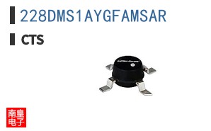 228DMS1AYGFAMSAR