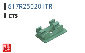 517R25020ITR