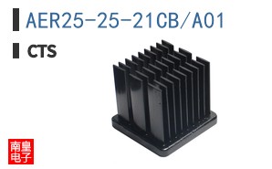 AER25-25-21CB/A01