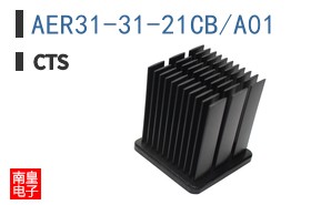 AER31-31-21CB/A01