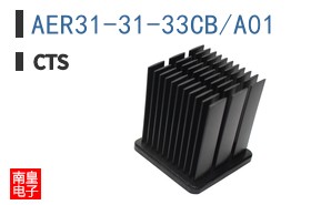 AER31-31-33CB/A01