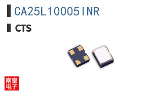 CA25L10005INR