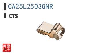 CA25L2503GNR