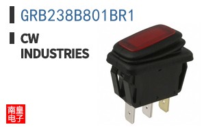 GRB238B801BR1