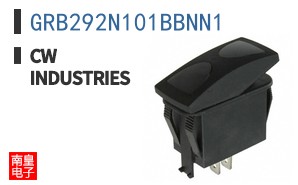 GRB292N101BBNN1