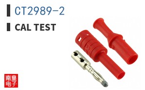 CT2989-2