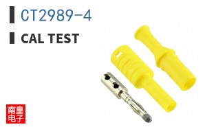 CT2989-4