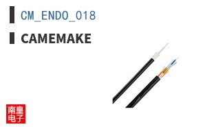 CM_ENDO_018