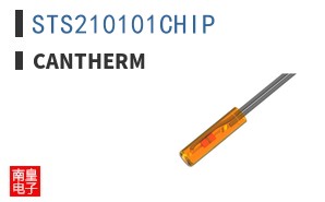 STS210101CHIP