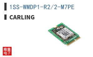 1SS-WMDP1-R2/2-M7PE
