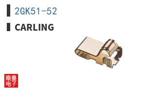2GK51-52
