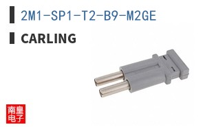 2M1-SP1-T2-B9-M2GE
