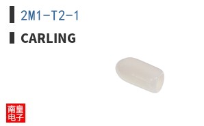 2M1-T2-1