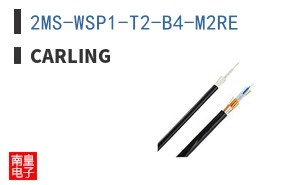 2MS-WSP1-T2-B4-M2RE