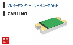 2MS-WSP2-T2-B4-M6GE