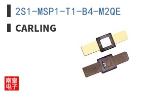 2S1-MSP1-T1-B4-M2QE