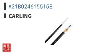 A21B024615515E