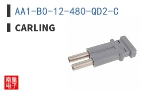 AA1-B0-12-480-QD2-C