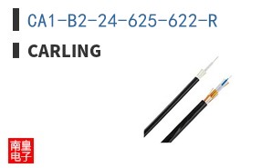 CA1-B2-24-625-622-R