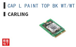 CAP L PAINT TOP BK WT/WT