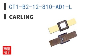 CT1-B2-12-810-AD1-L
