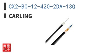 CX2-B0-12-420-2DA-13G